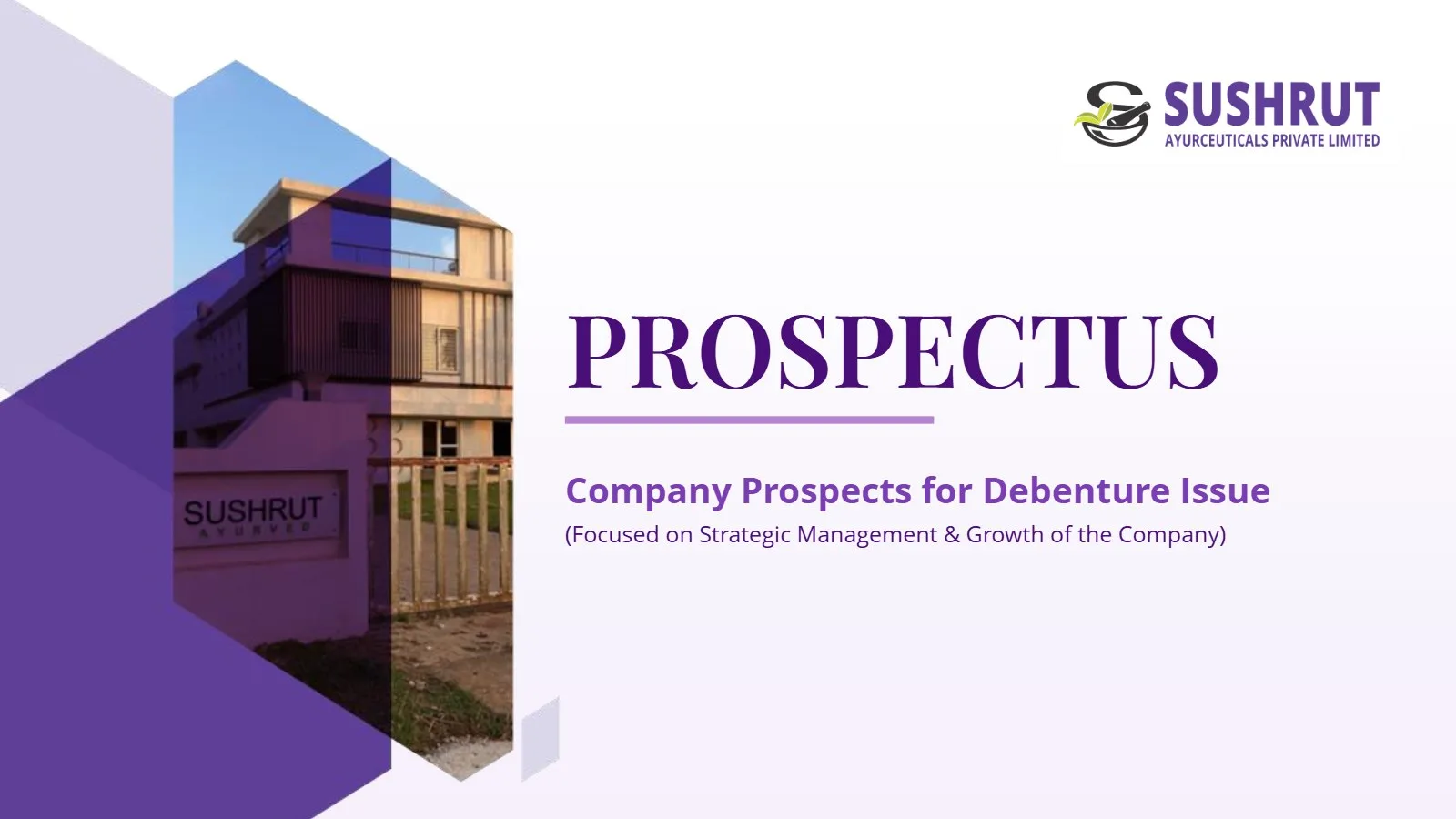 Sushrut prospectus cover: Company prospects for debenture issue (opens the PDF in a new tab)